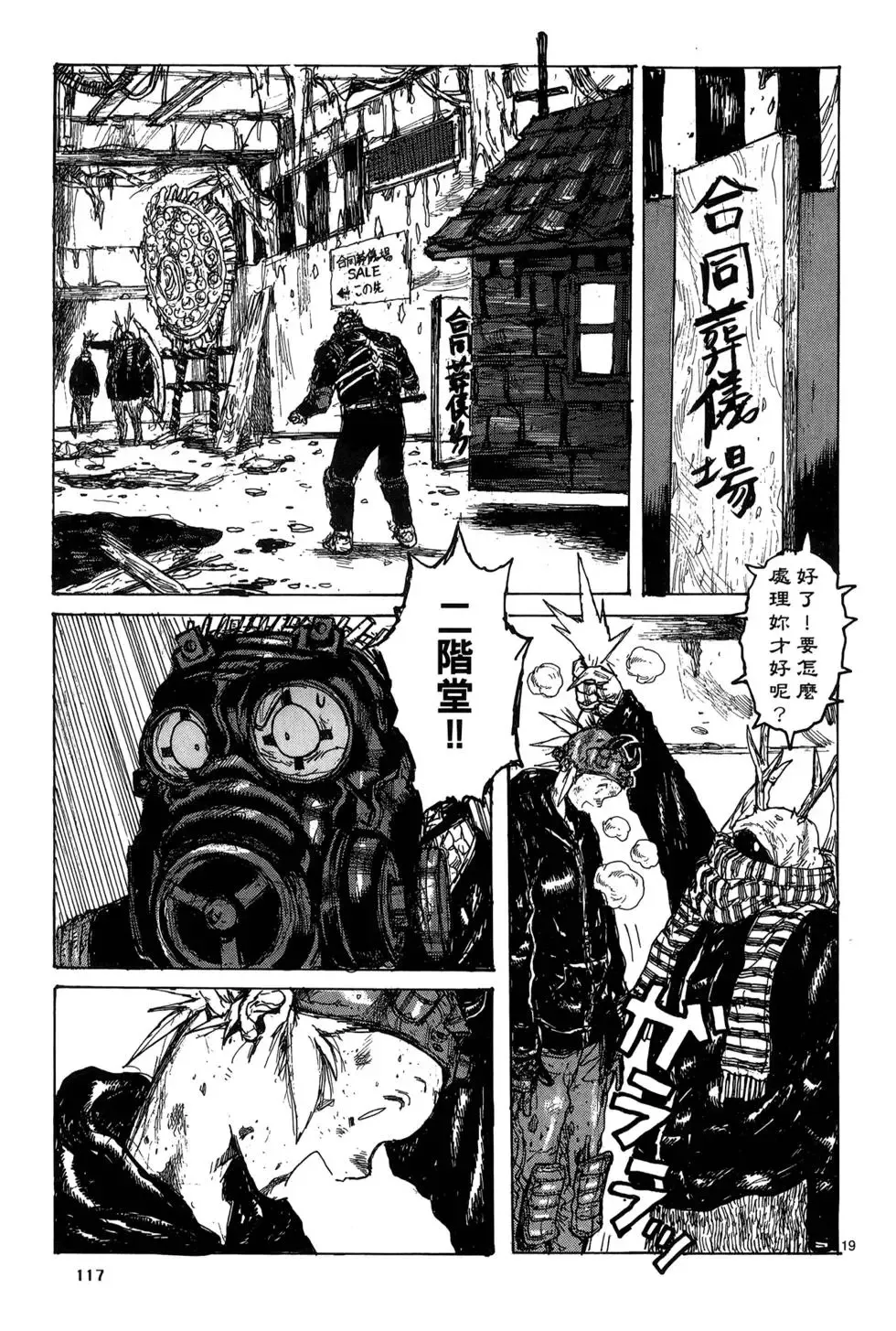 第19卷 第119页