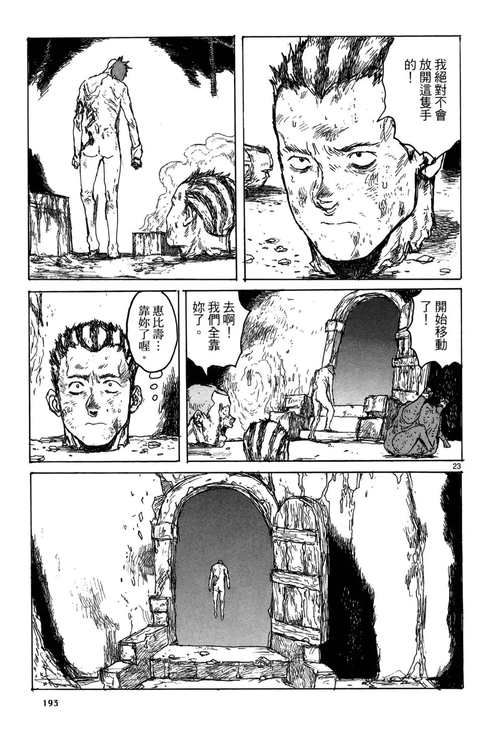 第19卷 第195页