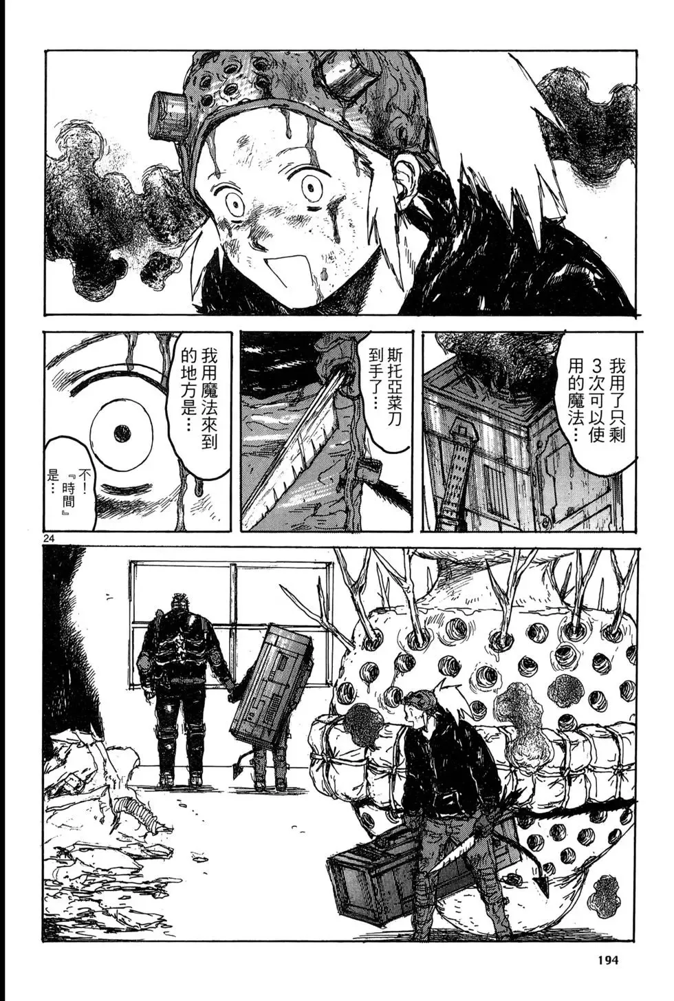 第19卷 第196页