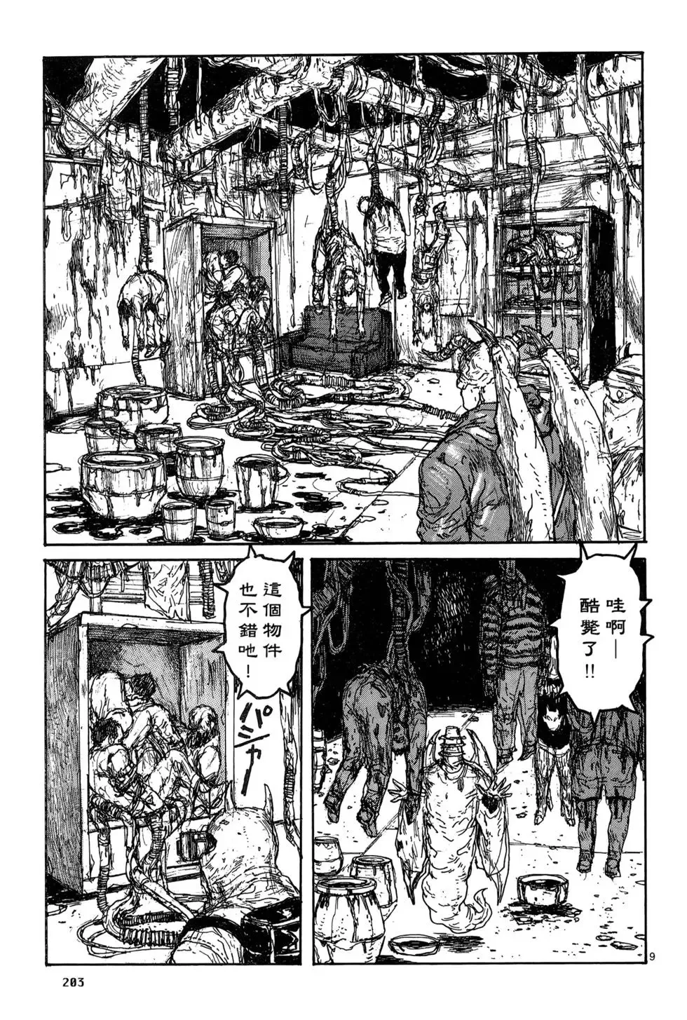 第19卷 第205页