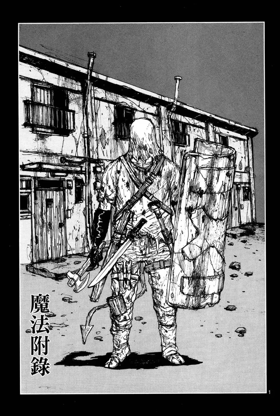 第19卷 第245页