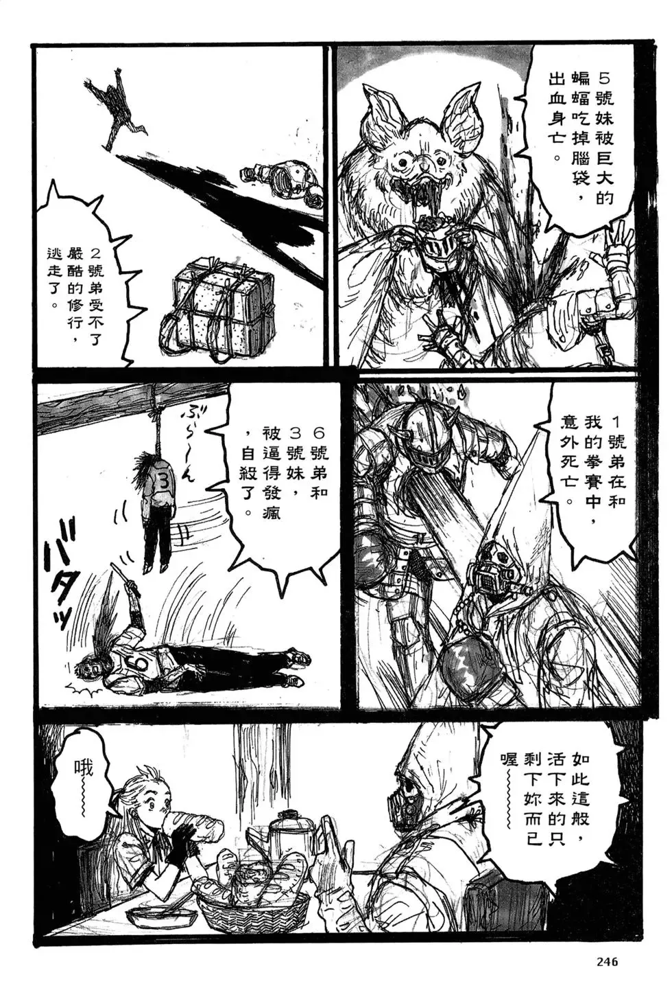 第19卷 第248页