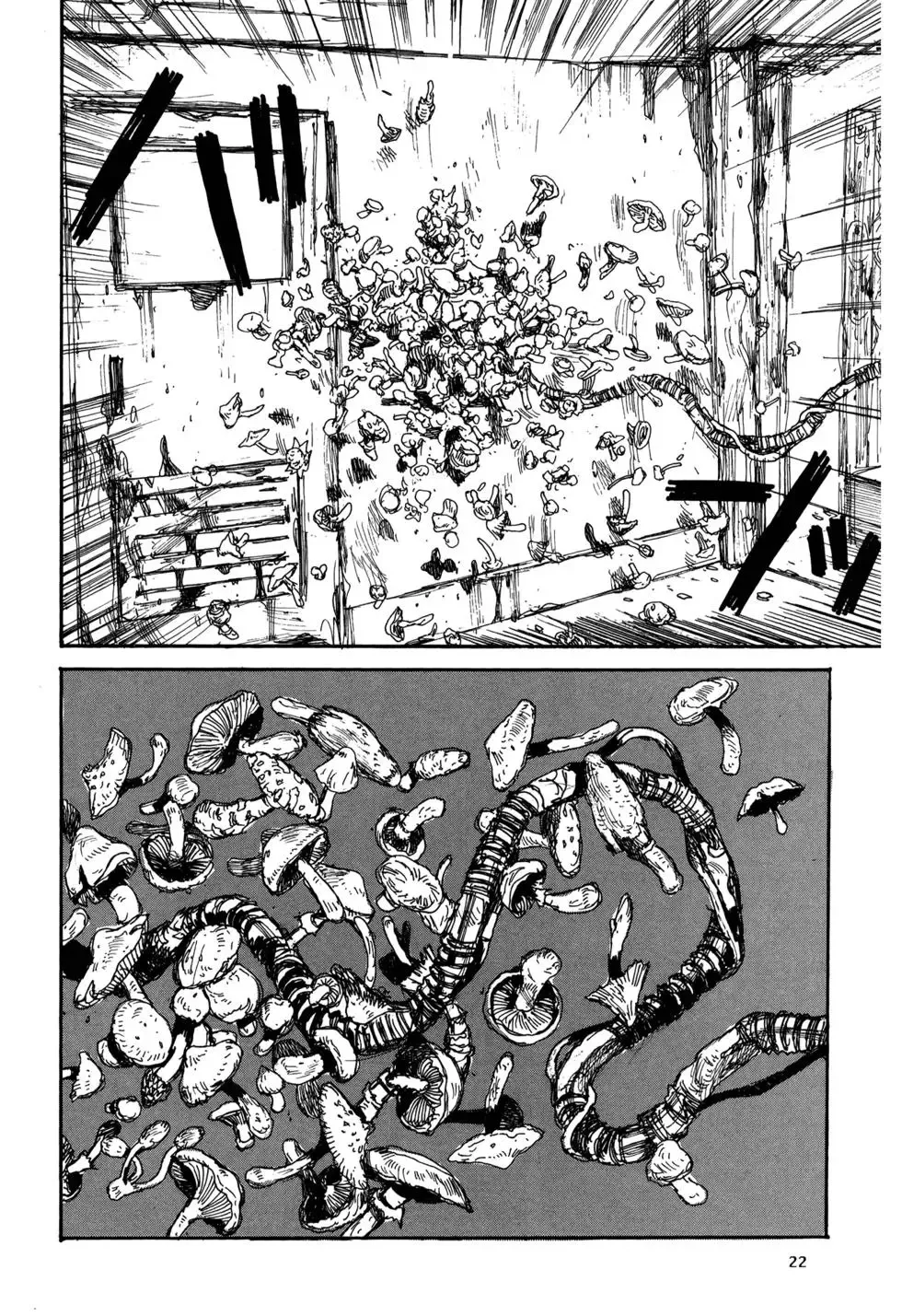 第20卷 第24页