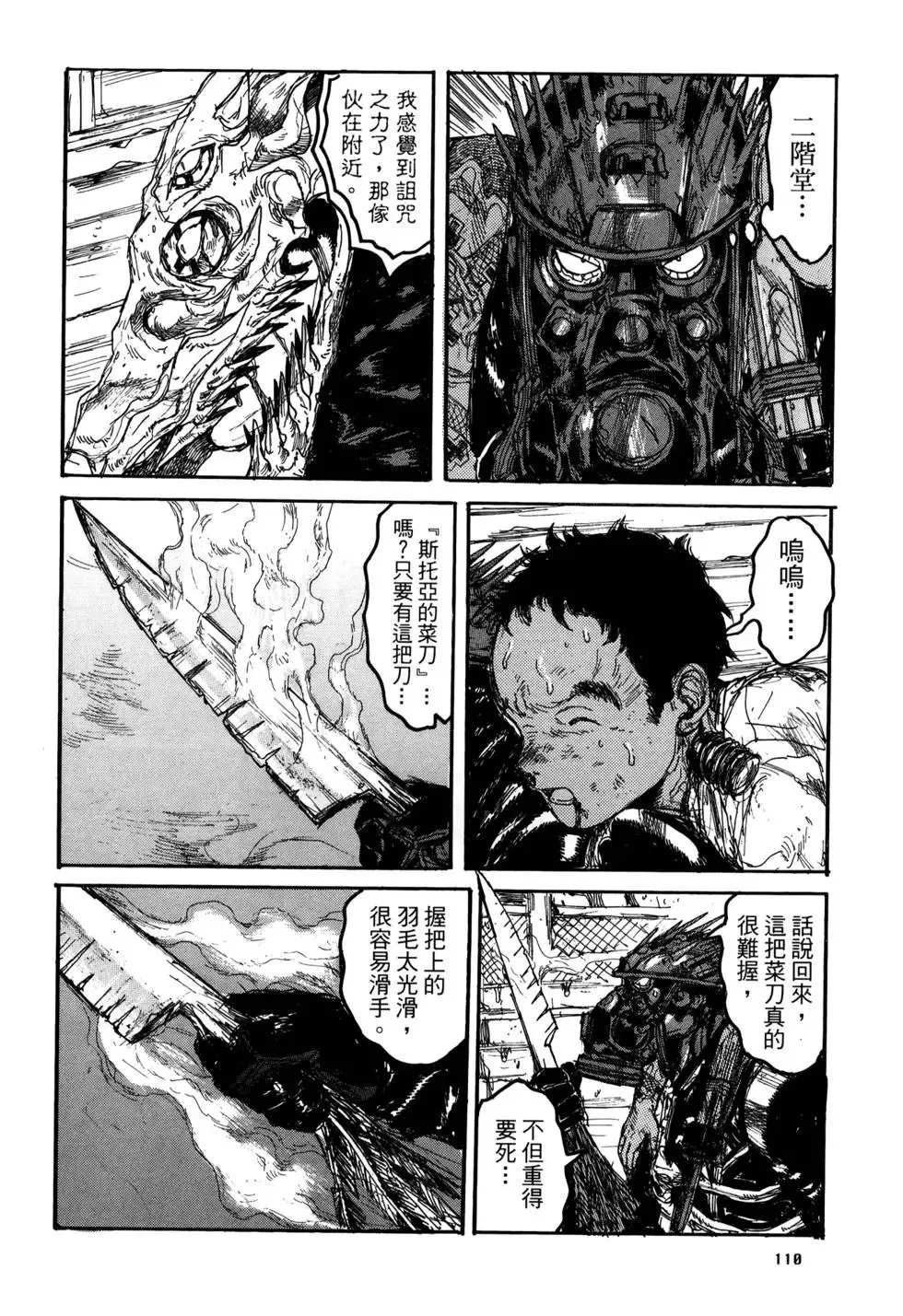 第20卷 第110页