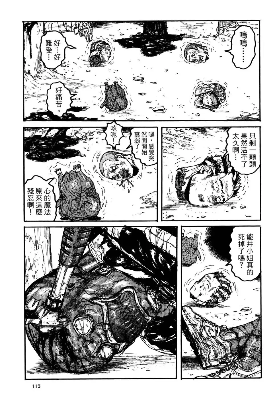 第20卷 第113页