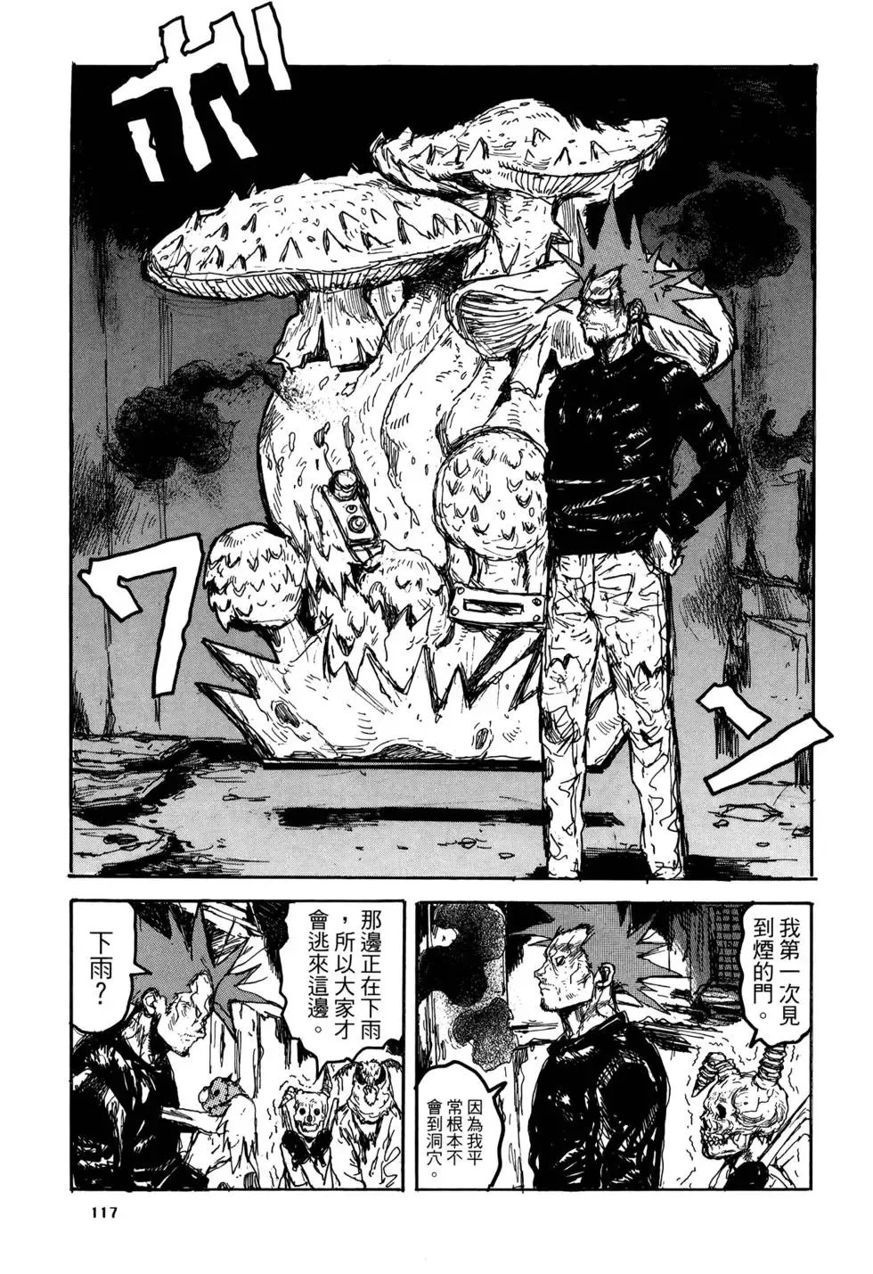 第20卷 第117页