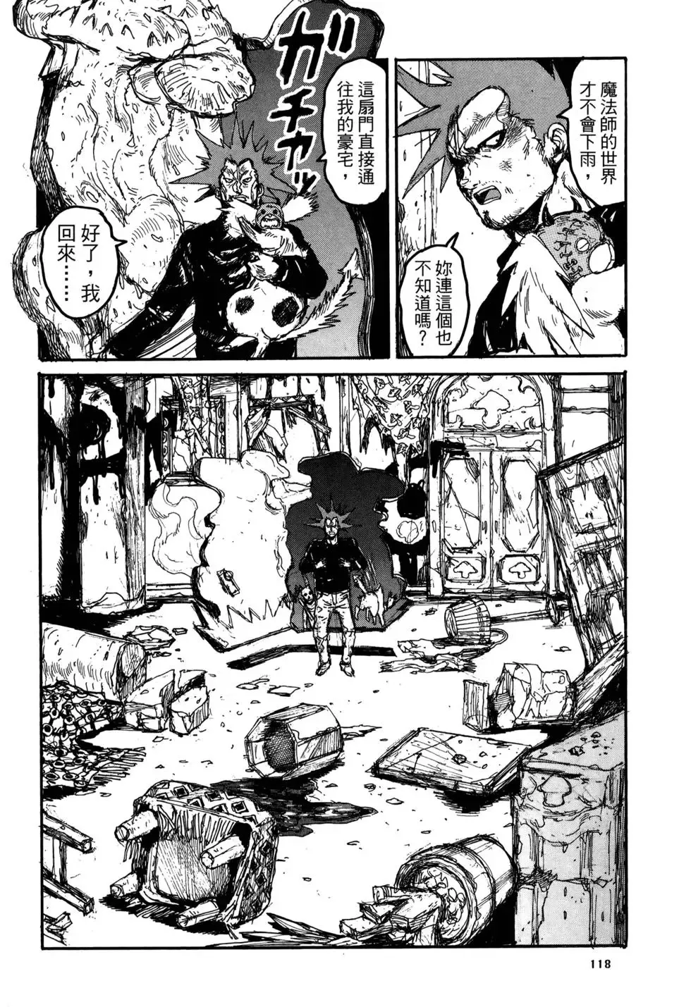 第20卷 第118页