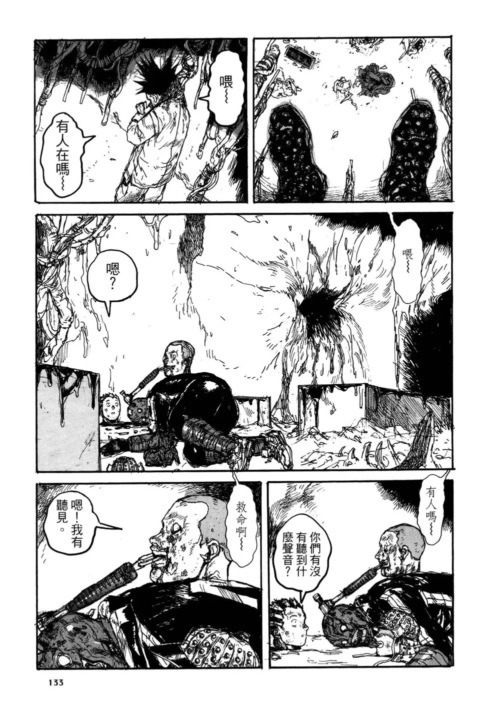 第20卷 第133页