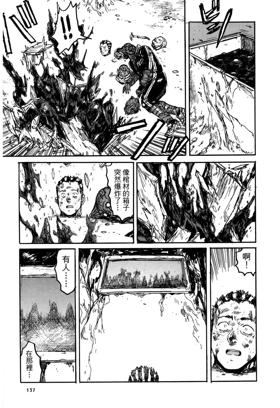 第20卷 第137页