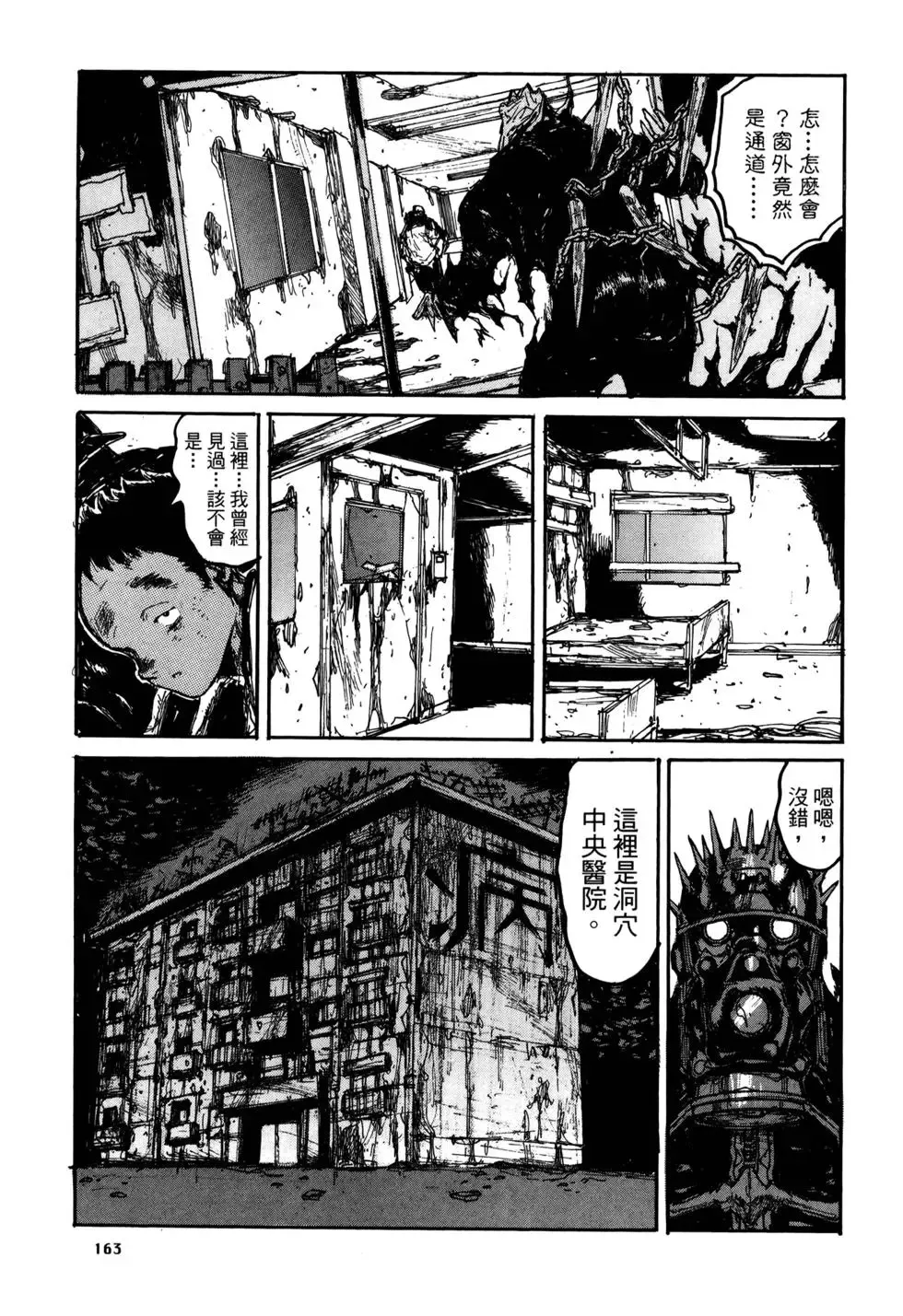 第20卷 第163页