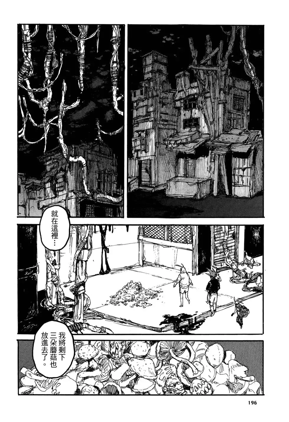 第20卷 第196页