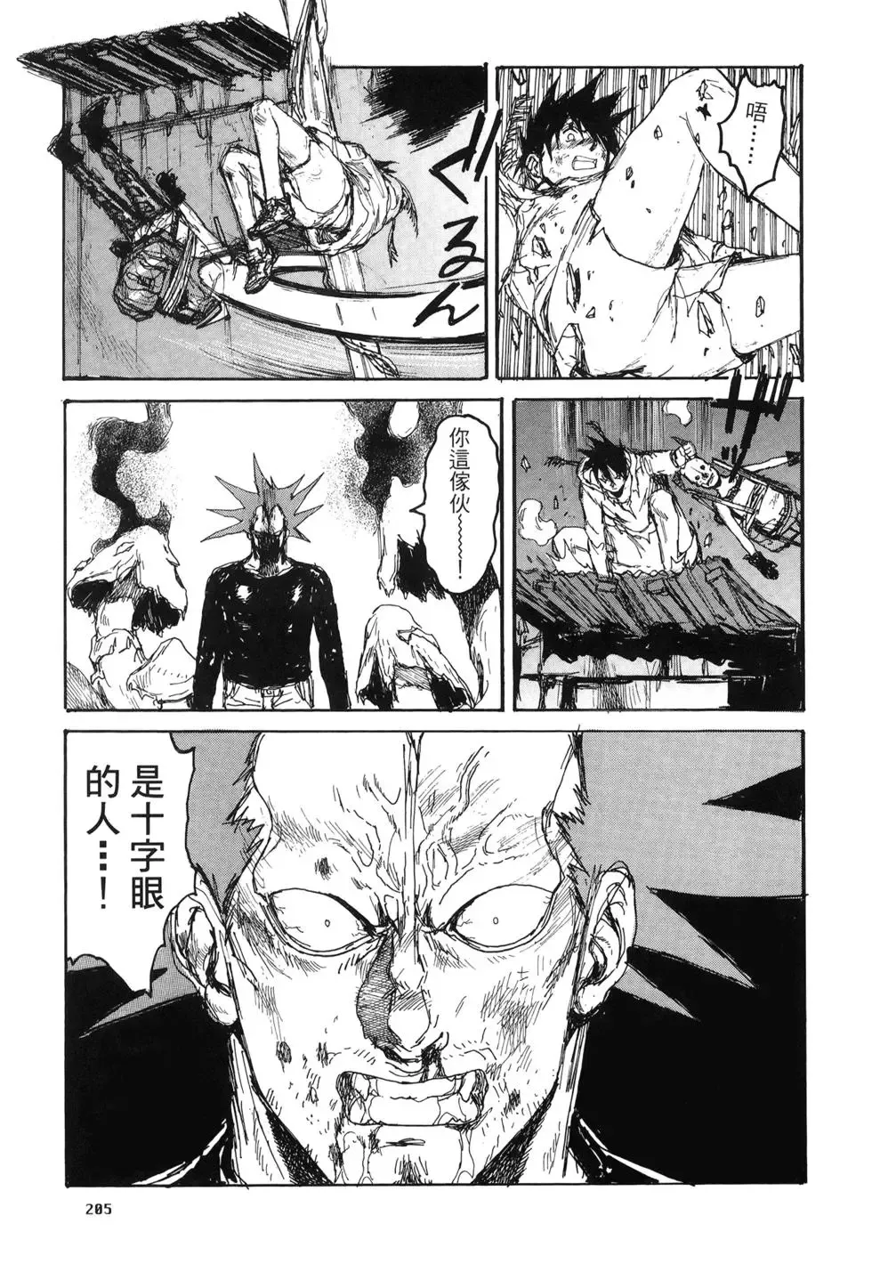 第20卷 第205页