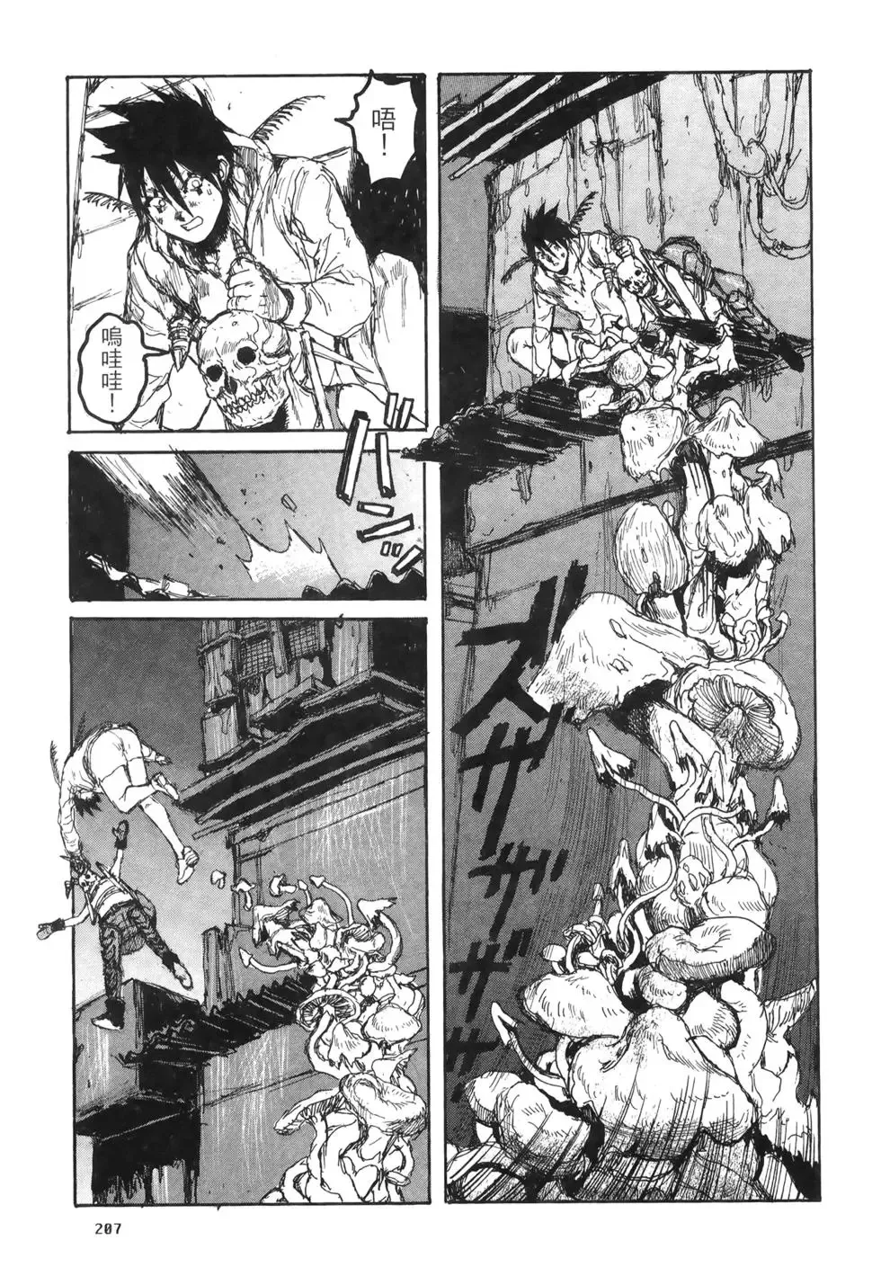 第20卷 第207页