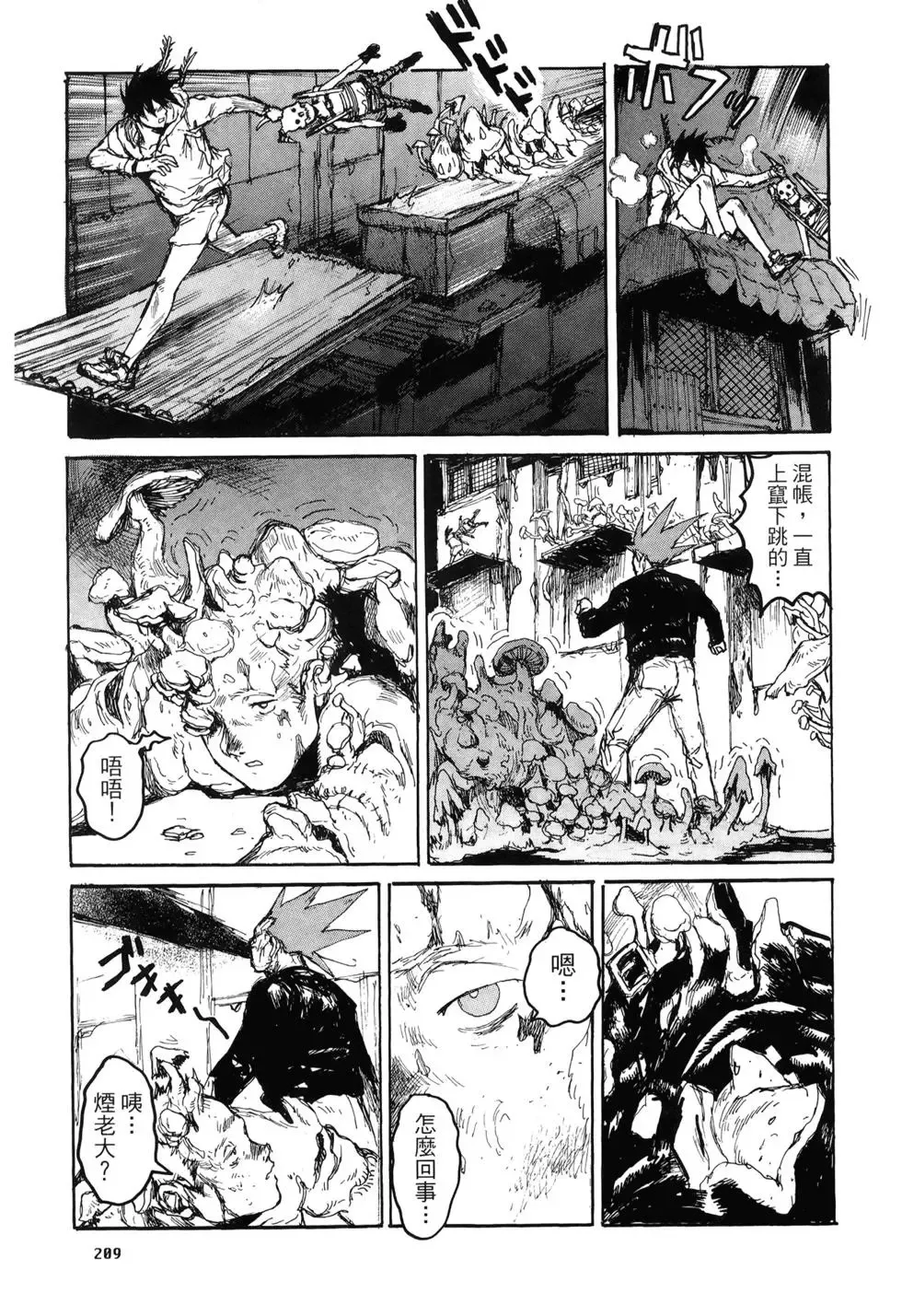 第20卷 第209页
