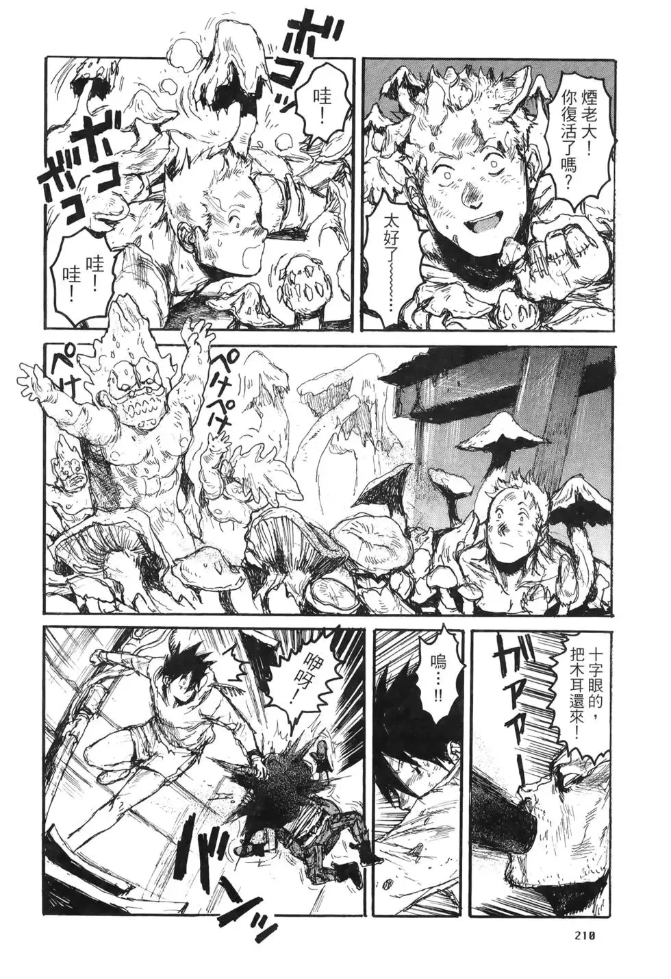 第20卷 第210页