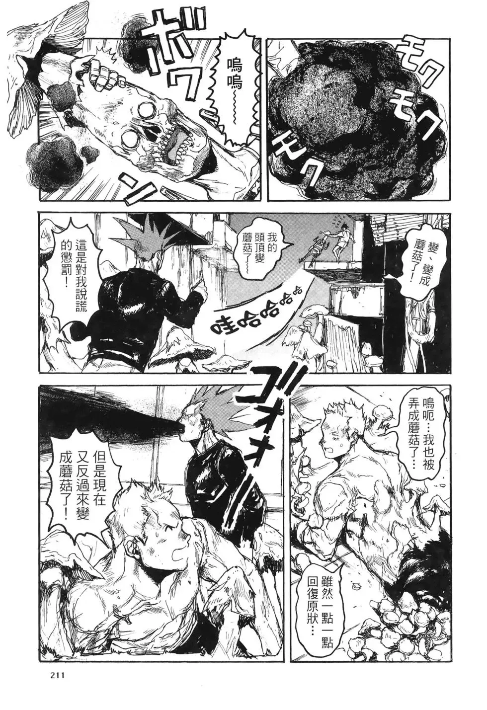 第20卷 第211页