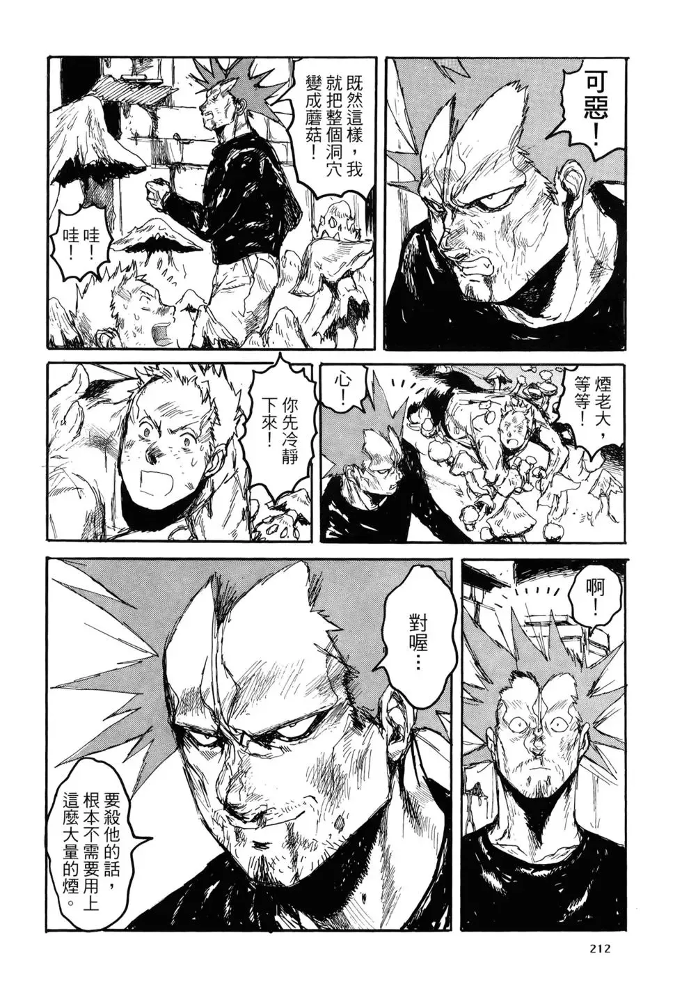 第20卷 第212页