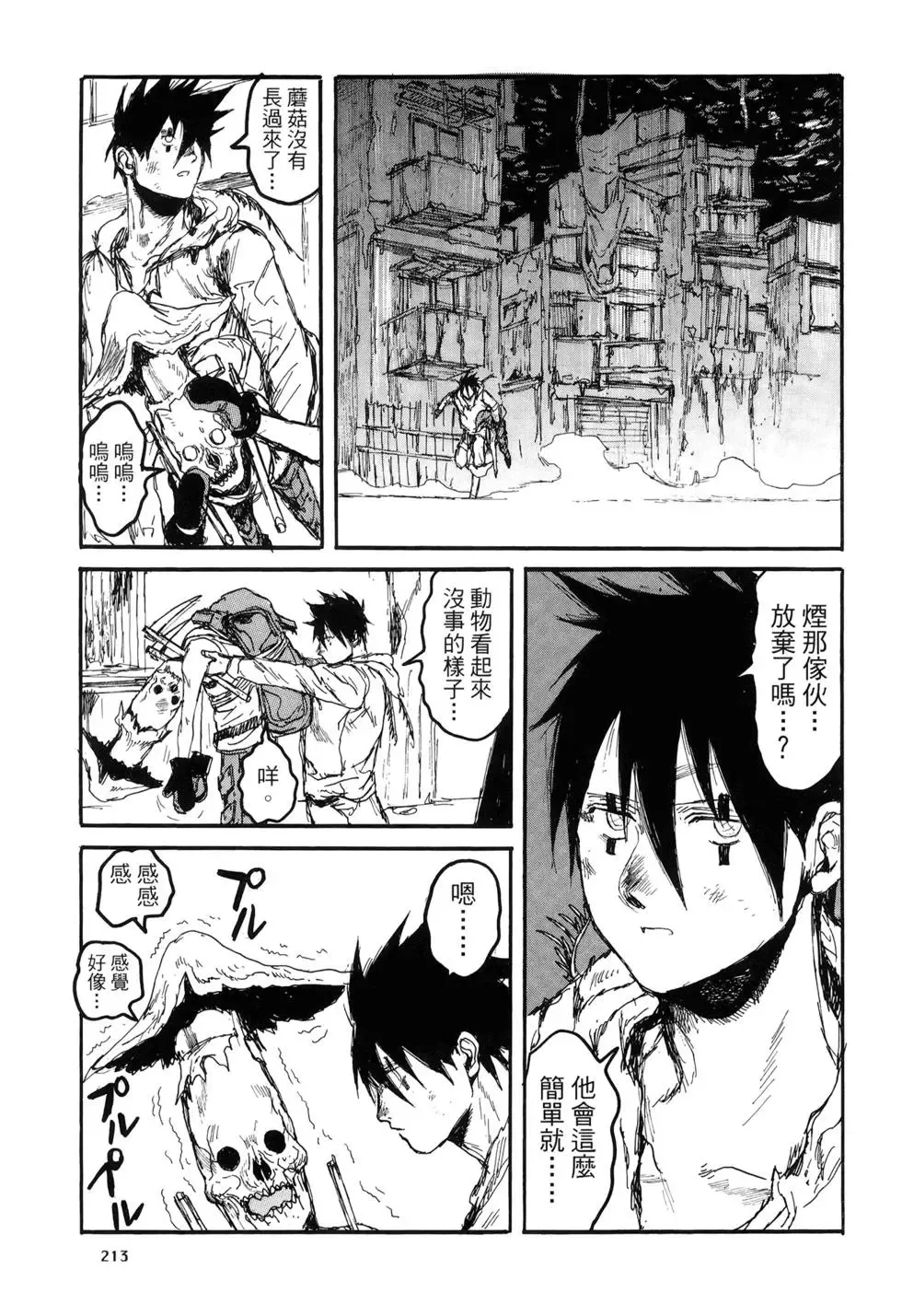 第20卷 第213页