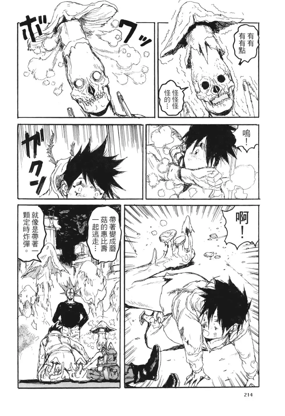 第20卷 第214页