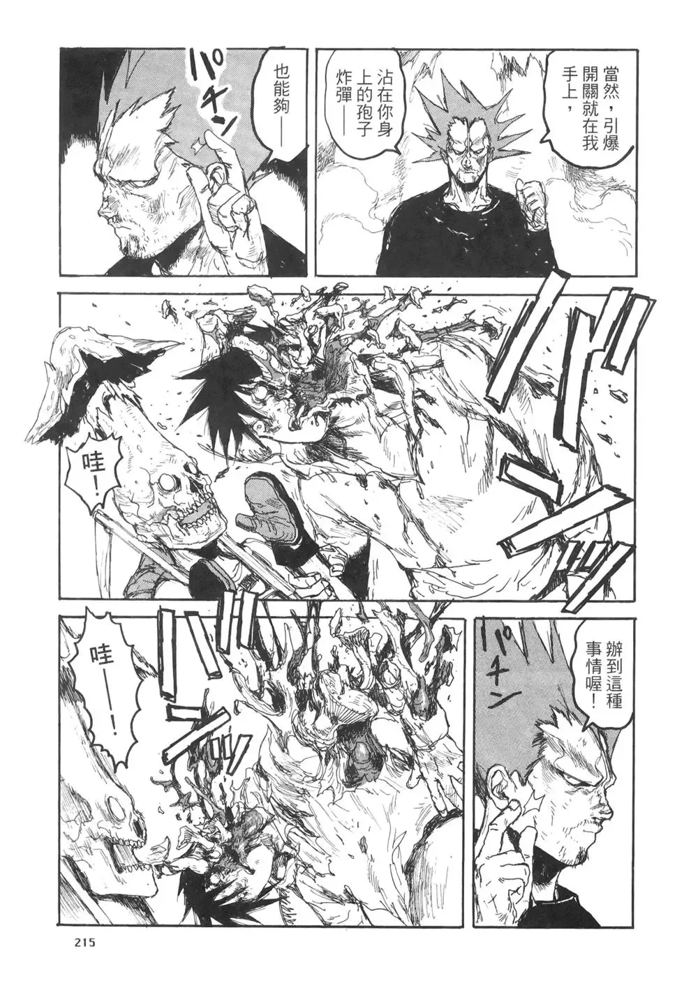 第20卷 第215页