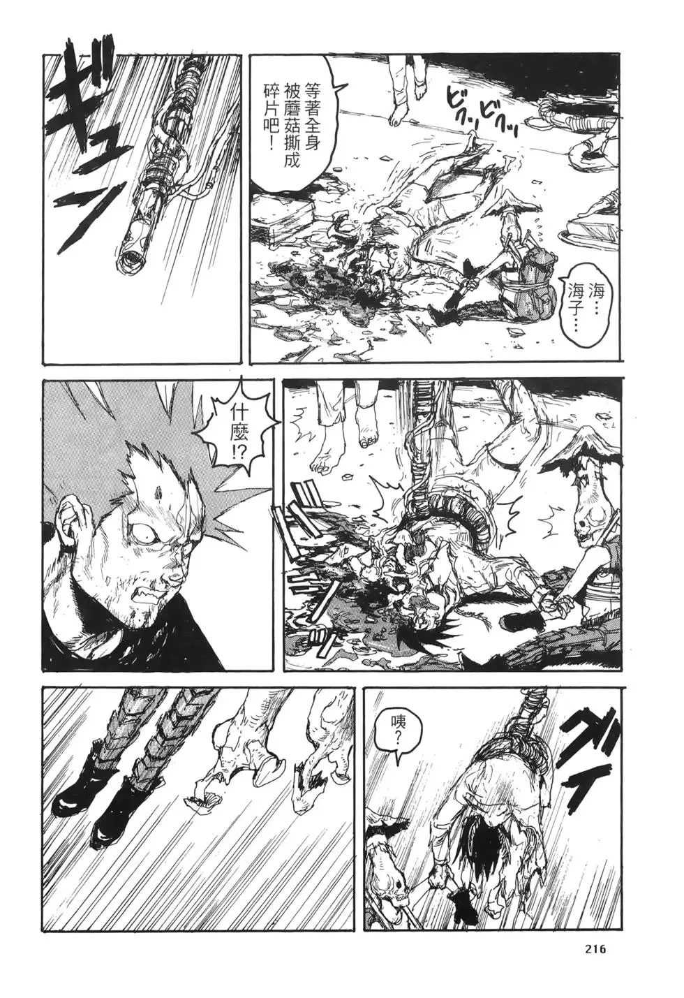 第20卷 第216页