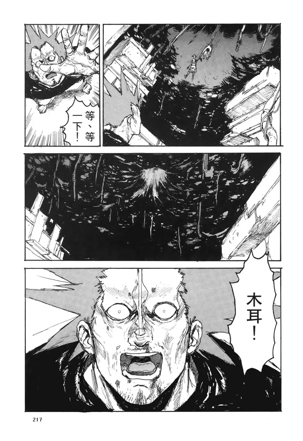 第20卷 第217页