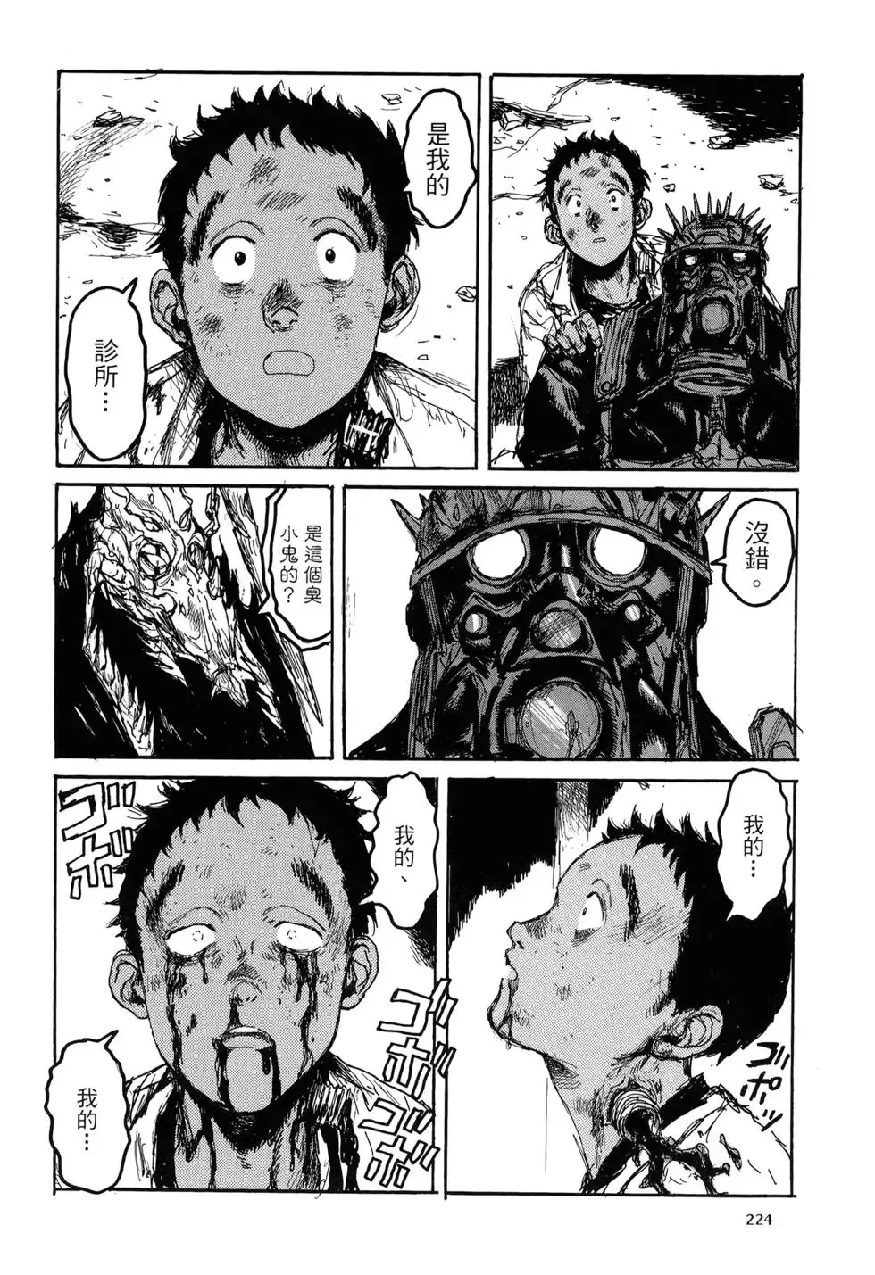 第20卷 第224页
