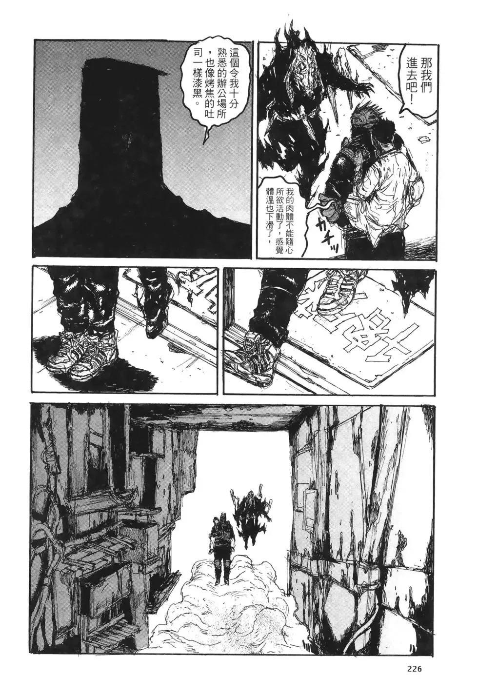 第20卷 第226页