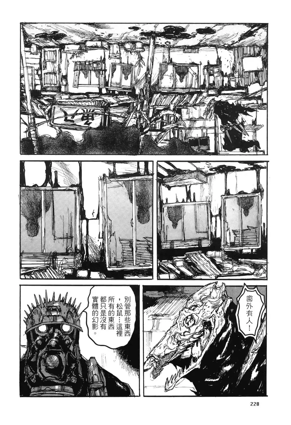 第20卷 第228页