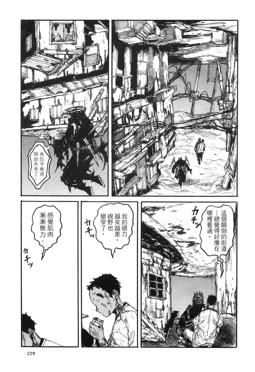 第20卷 第229页