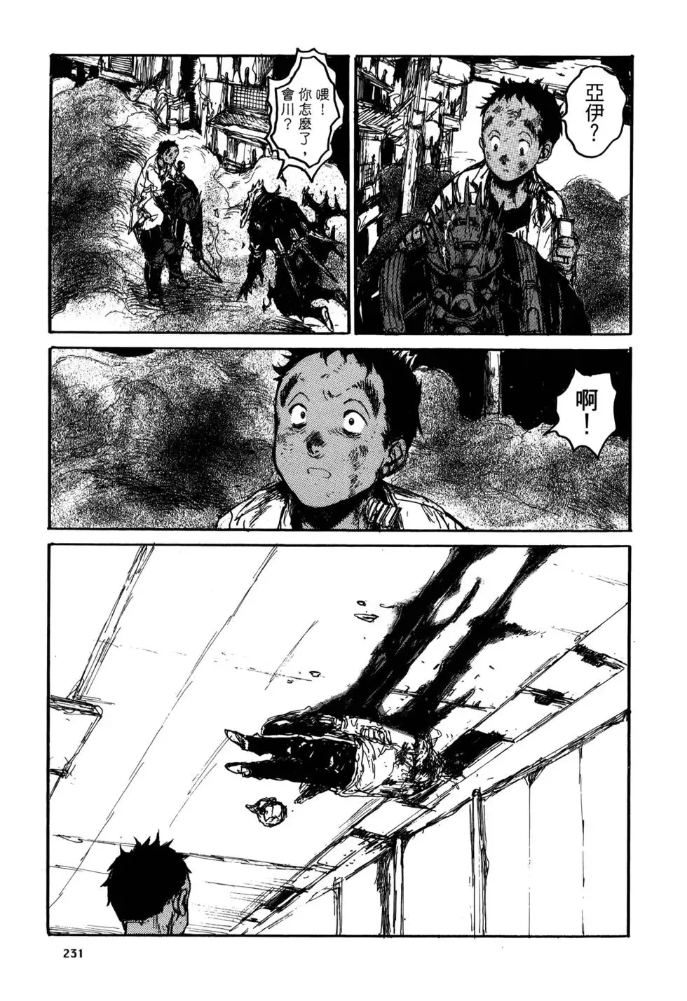 第20卷 第231页