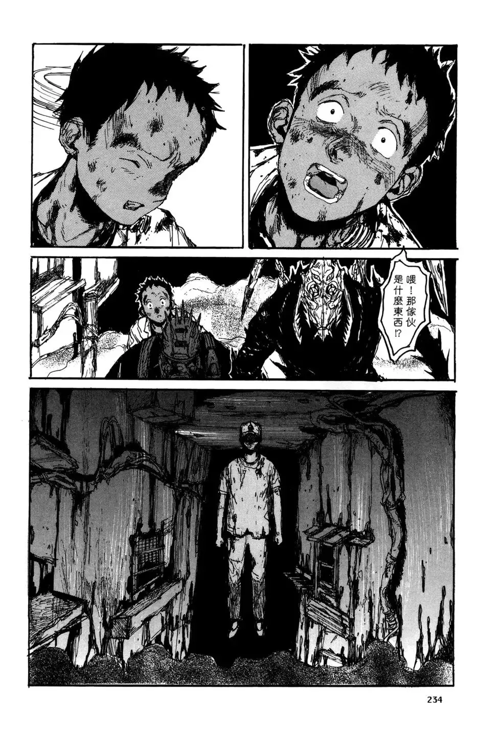 第20卷 第234页
