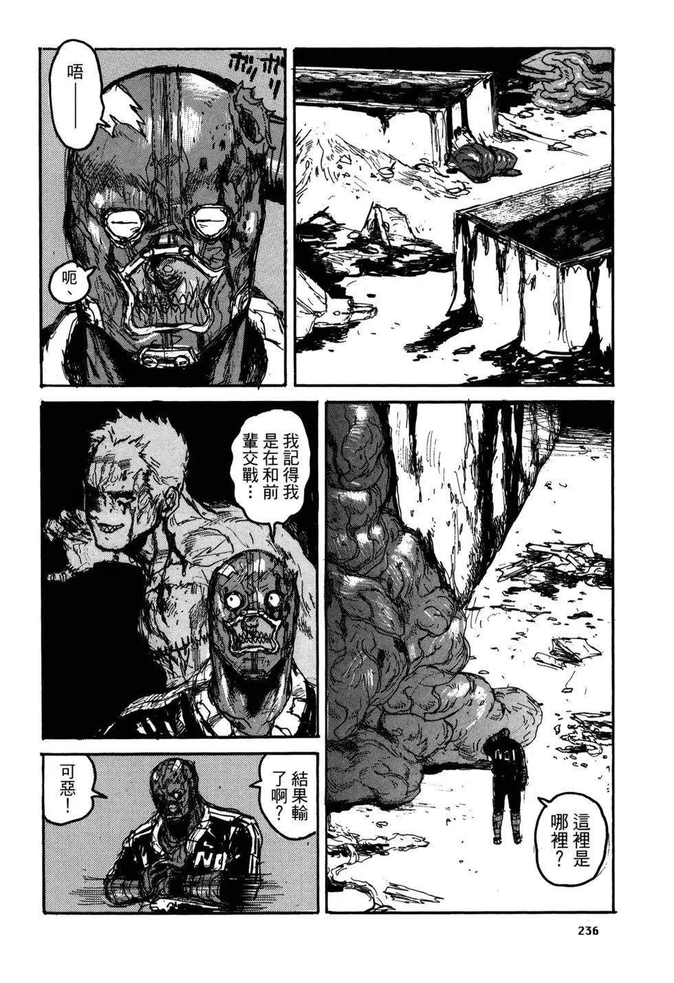 第20卷 第236页