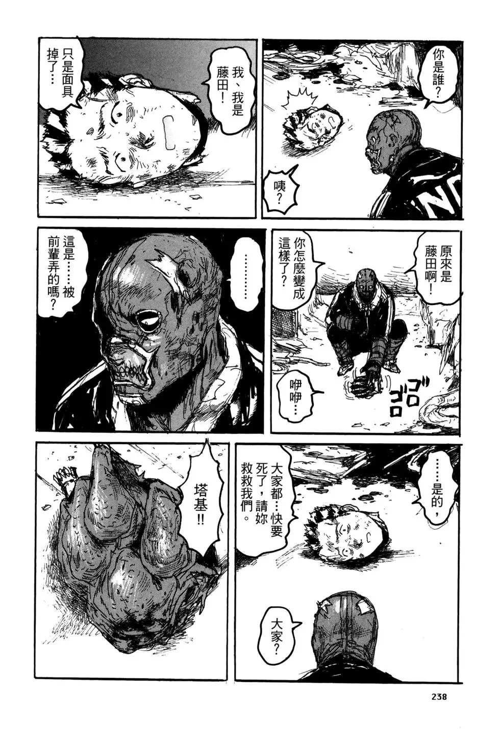第20卷 第238页