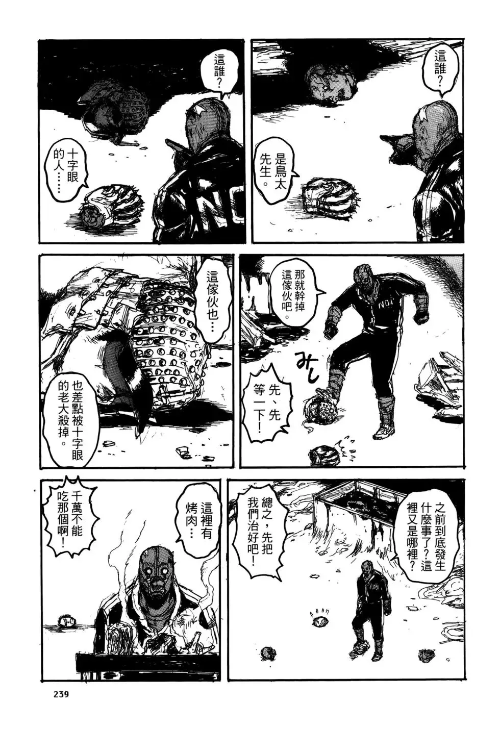 第20卷 第239页