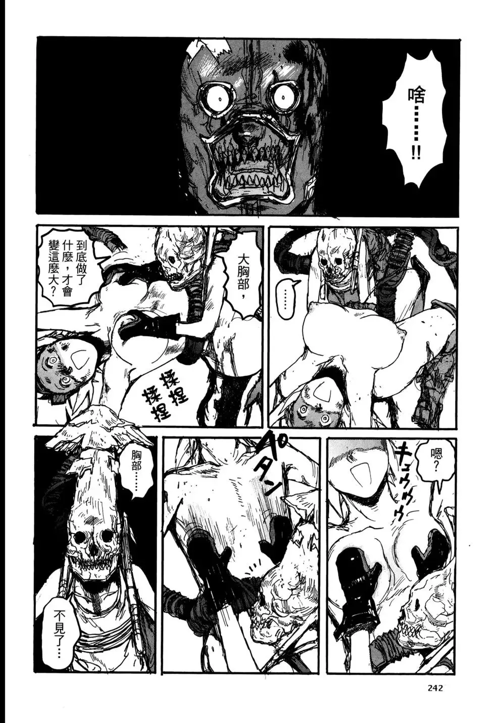 第20卷 第242页