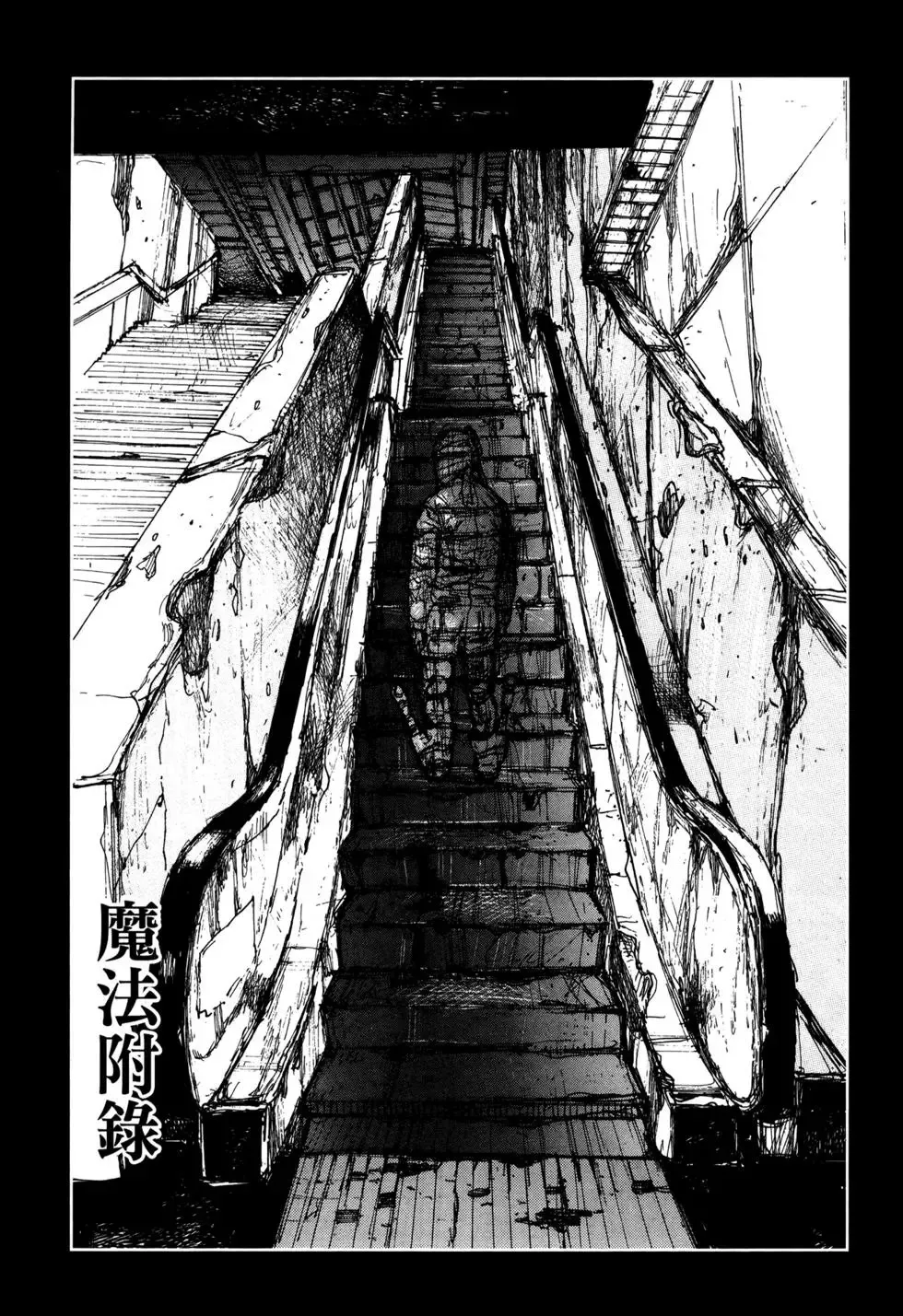 第20卷 第243页
