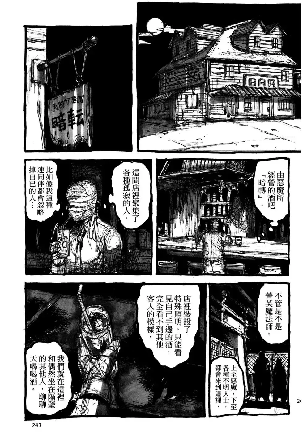 第20卷 第247页