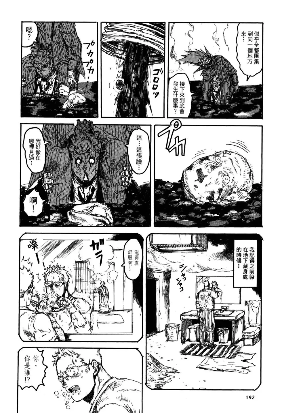 第21卷 第192页
