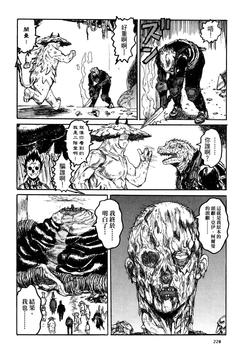 第21卷 第219页