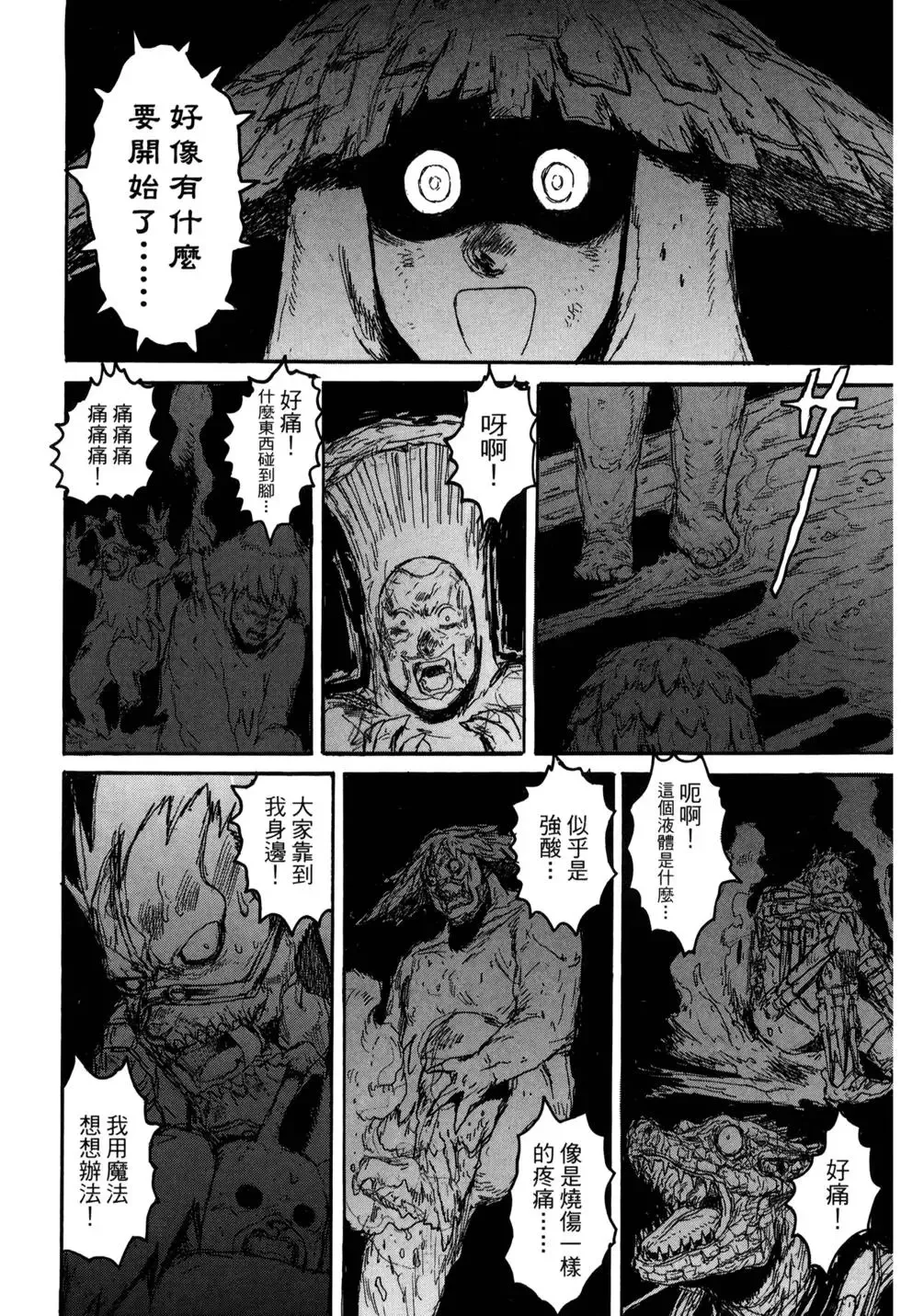 第21卷 第243页