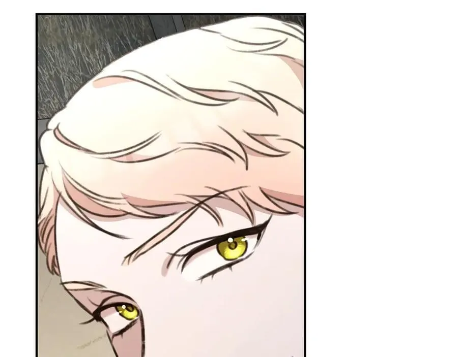 第36话 穿少一点 第254页