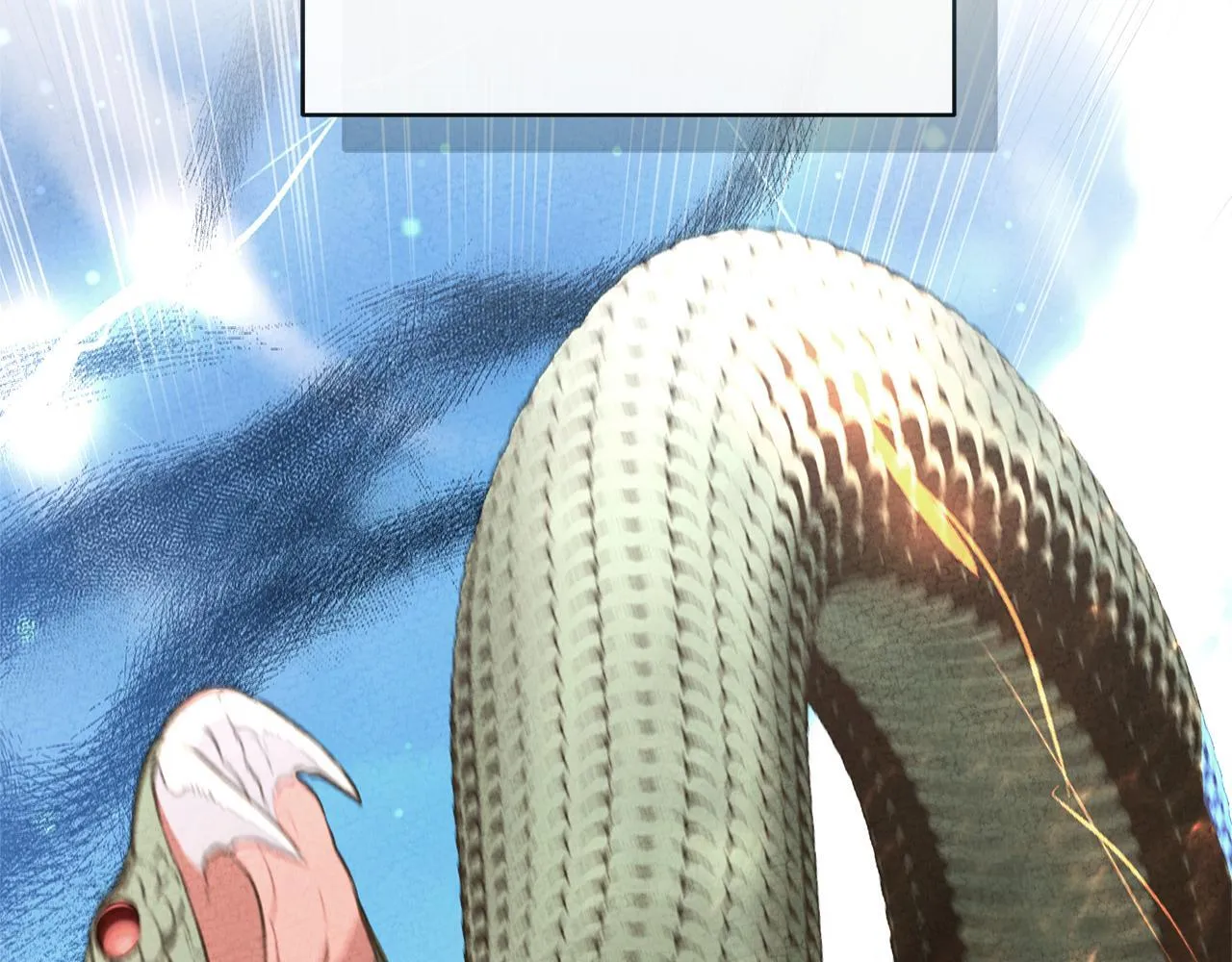 第39话 骷髅蜘蛛 第234页