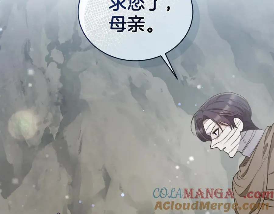 第43话 孤注一掷 第249页