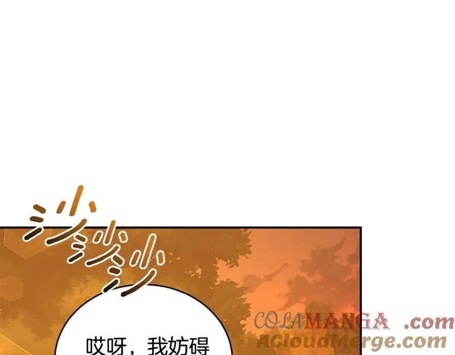 完结篇 让我做你的丈夫 第137页