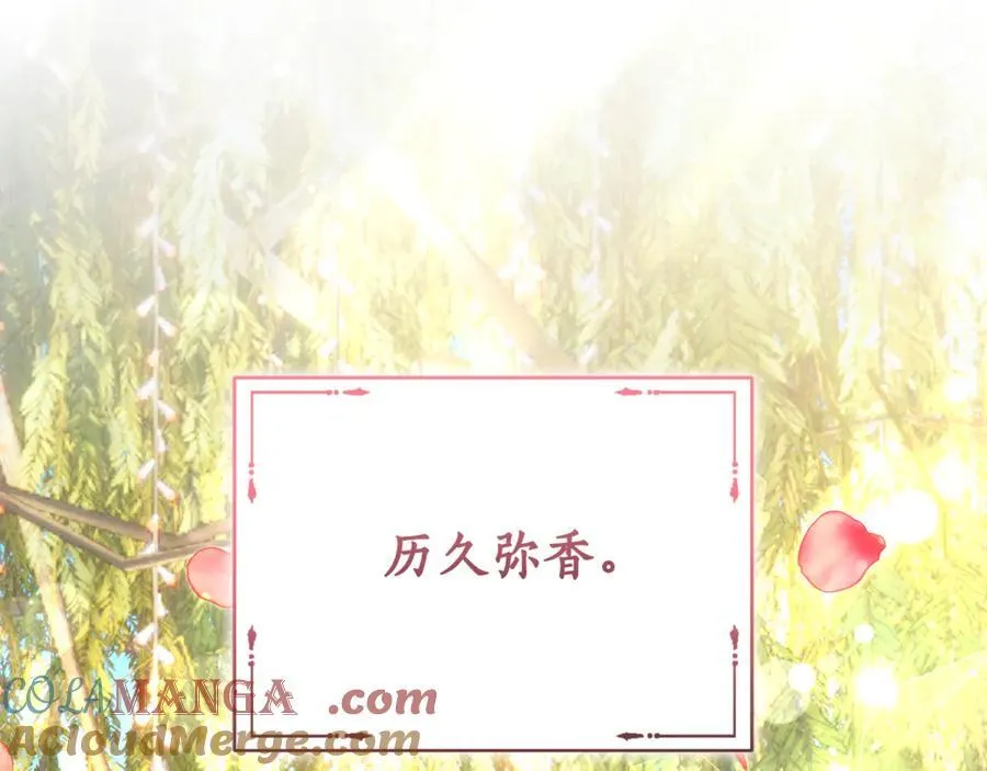 完结篇 让我做你的丈夫 第237页