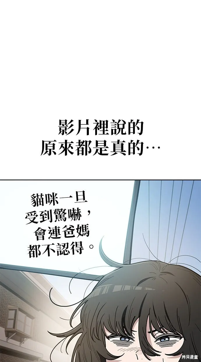 第104话 第3页
