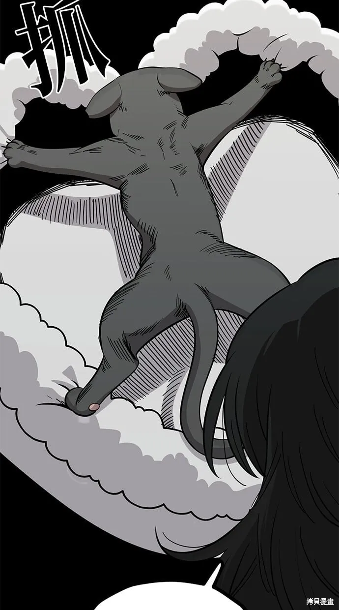 第114话 第43页