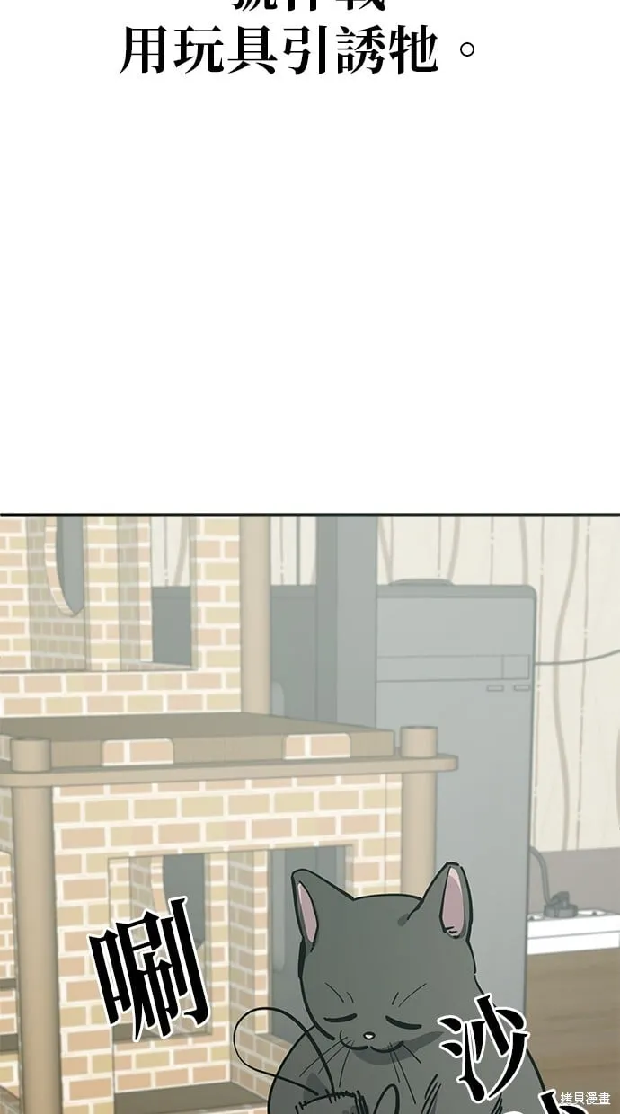 第114话 第55页
