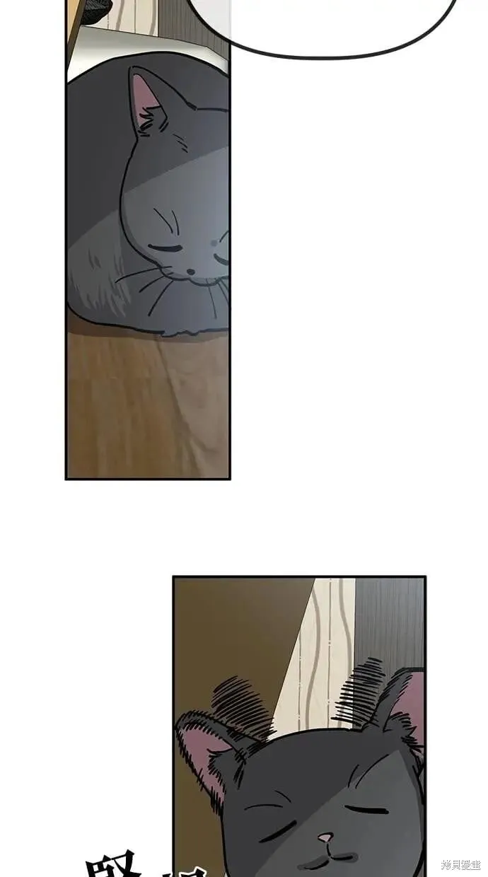 第146话 第59页